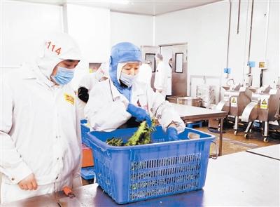 天津確保校園食品安全 監管先行，教育軟件賦能
